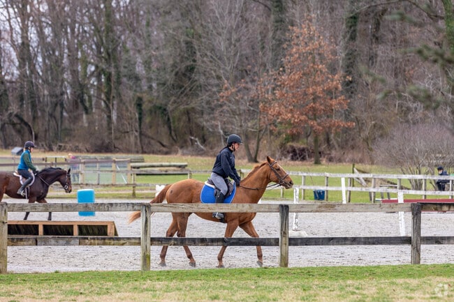 Carrcroft equestrians head over to Bellevue State Park for dedicated space to ride horses.