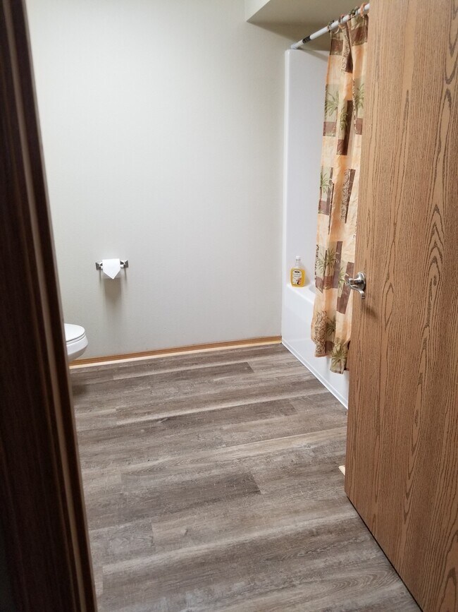 Hall Bathroom shower/tub combo