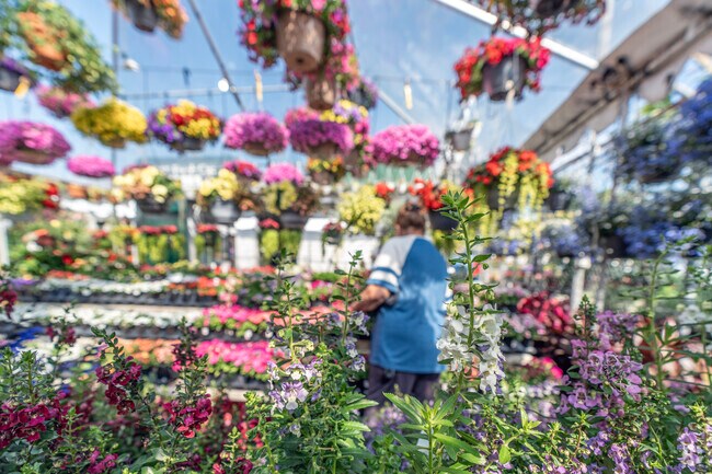 Locals in Bay Terrace champion small businesses, creating a tight-knit community vibe.