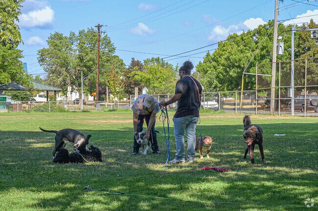 Residents and their dogs enjoy the sports fields at Grant Park.