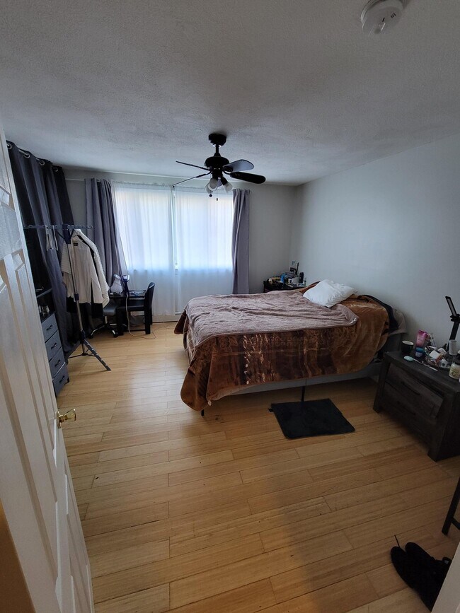 240 Babcock St unit 305, Brookline, MA 02446 - photo 4