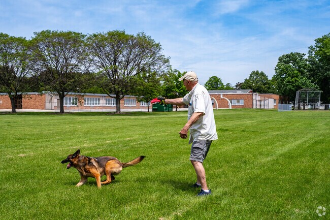 With a large open green space Beaumont Park is great for playing fetch.