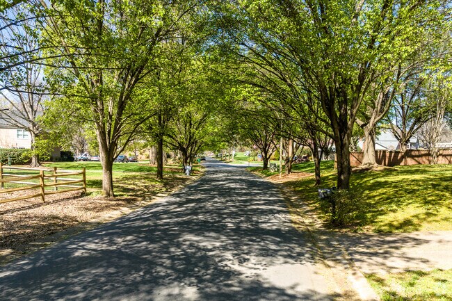 Trees line the streets of Governor's Square offering plenty of shade.