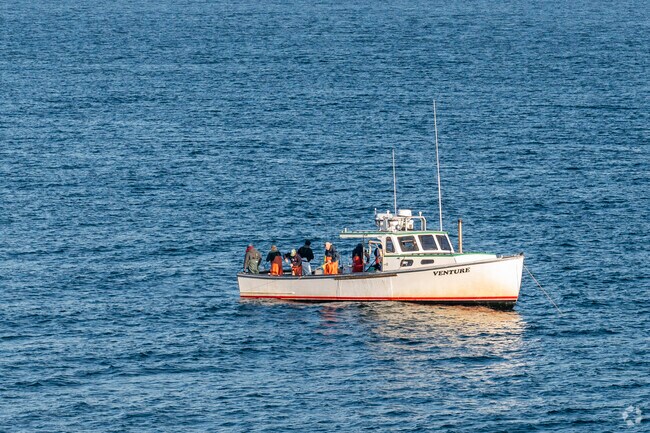 Take a boat to fish off the coast of Jamestown Village in the Narragansett Bay.
