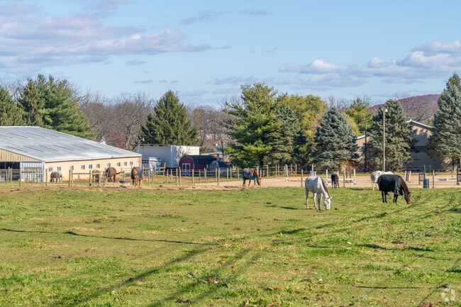 Hanover Township Northampton offers a small-town feel with farms and horses in Lehigh Valley.