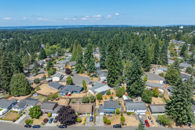 With the Puget Sound to the west, area homes are nestled among fir trees and green space.