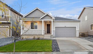916 Steppe Ln, Windsor, CO 80550