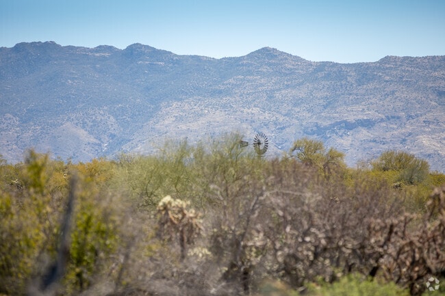 The Eastside neighborhood is backed by the mesmerizing Rincon Mountains.