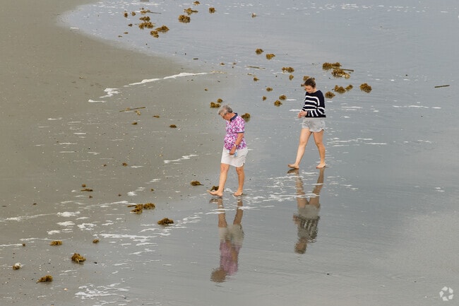 Two people from Arcadian Shores enjoy a peaceful walk along the shoreline.