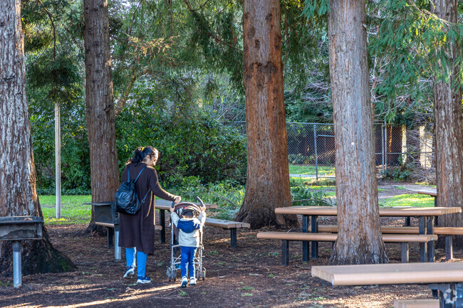 Come and enjoy the beautiful Redwood grove at Ocean View Park.
