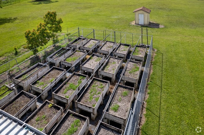 DJb Technical Academy in Lehigh Acres has lessons about agriculture and gardening.