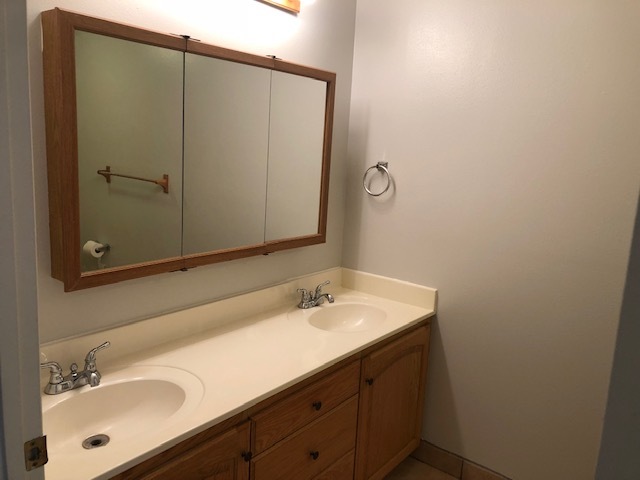 Double Sinks