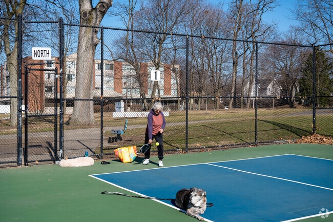 Koa the dog taking a break from chasing Pickleballs at Waters Park in North Hill.