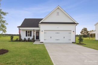 65 Fish Whistle Ct, Benson, NC 27504