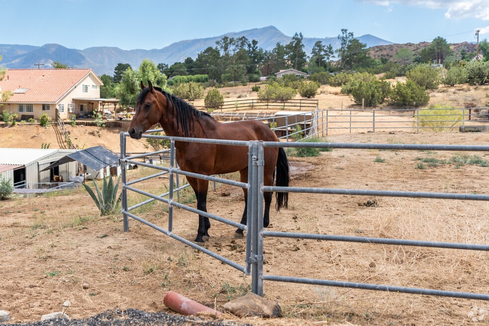 Neighborhood_Acton_V01_02122024.mp4