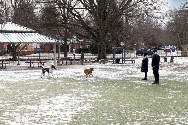 Broad Ripple Dog Park is situated in Broad Ripple Park in Indianapolis.