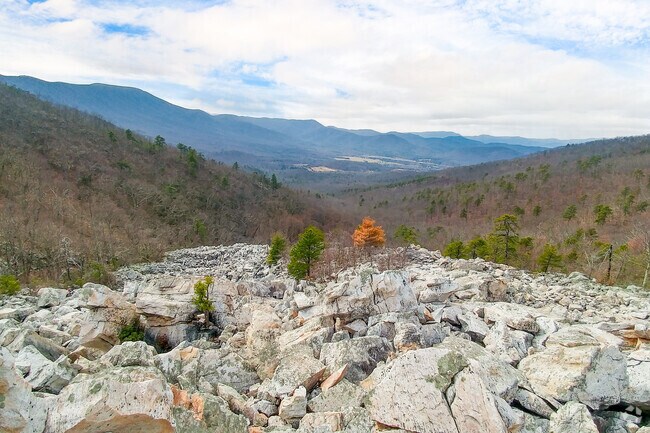 Natural Bridge offers expansive views, ideal hiking, and nature photography.