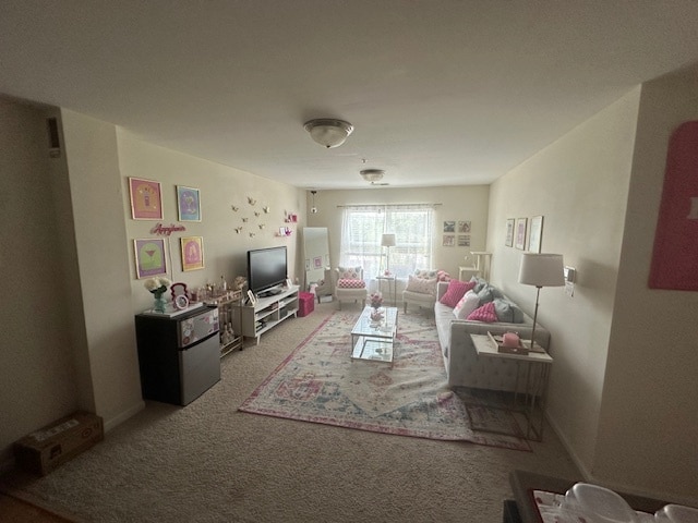 Turtle Creek West Apartments, Boone, NC 28607 - photo 3