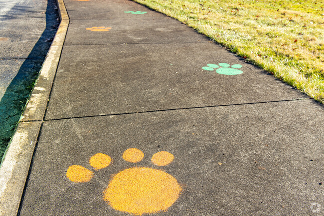 Follow the path of the greatest at West Newton Elementary School in West Newton, PA.
