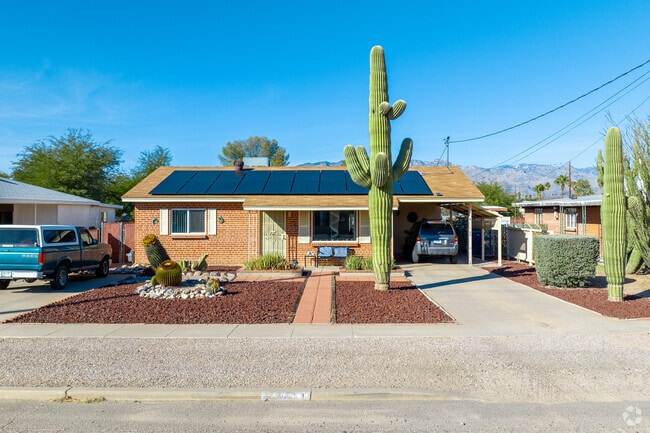 Saguaro cacti dot the streets of Avondale.