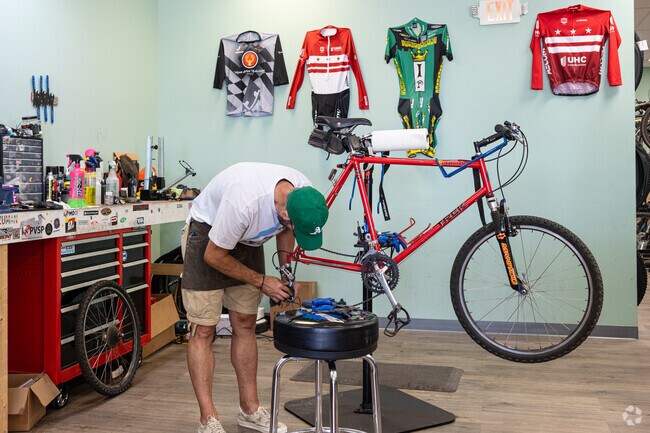 Old Line Cycles in Wildewood is the go to place for repairs or a new bike.