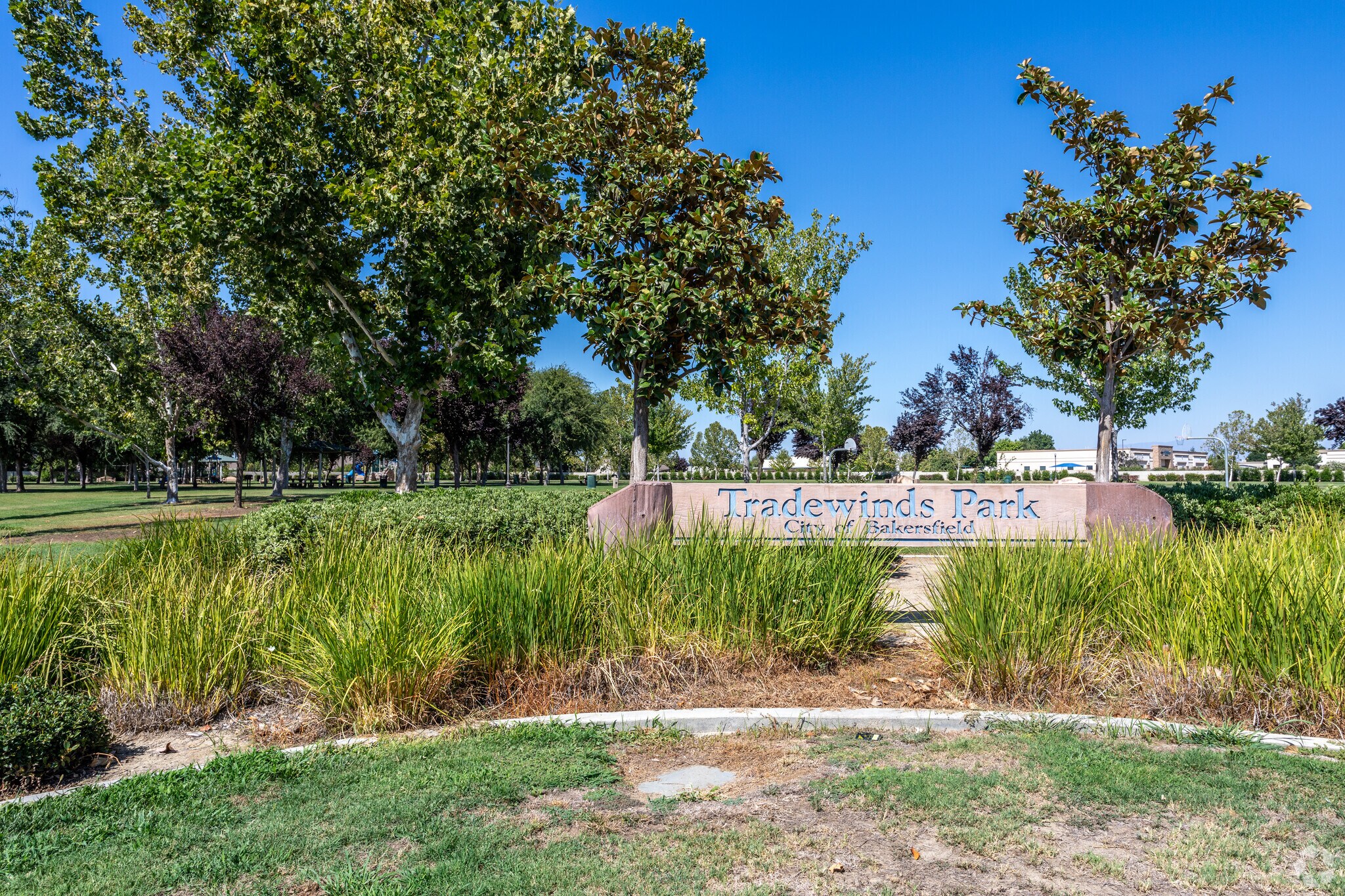 About Campus Park Schools, Demographics, Things to Do