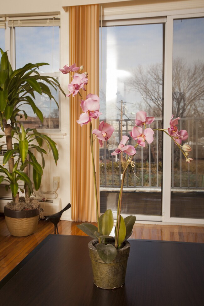 SDK Lodi Apartments, Lodi, NJ 07644 - photo 3