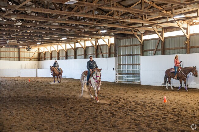 Take lessons and learn to ride a horse at Timmerman's Ranch.
