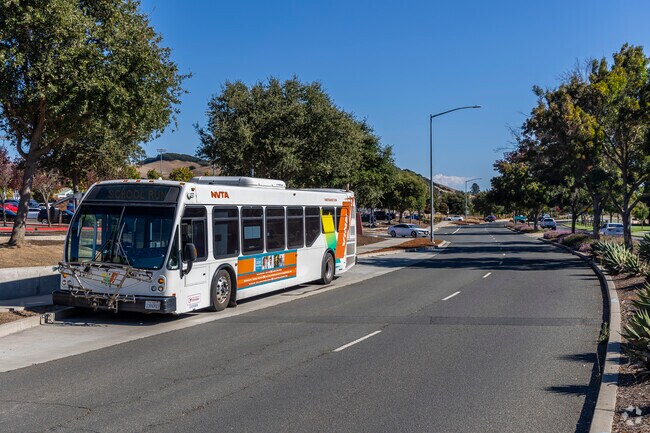 American Canyon's schools are served by special Vine Bus lines.