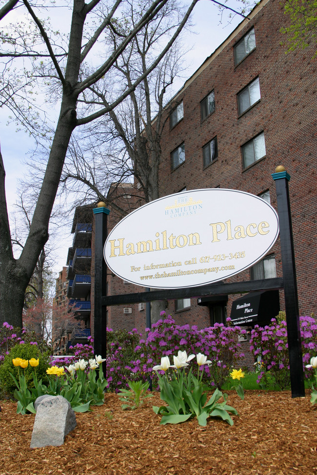 233-255 Main St, Watertown, MA 02472