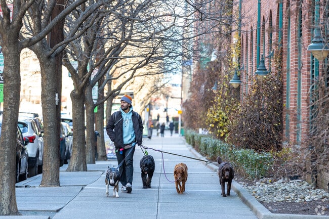 Hoboken is very walkable, making it easy to explore its vibrant streets.