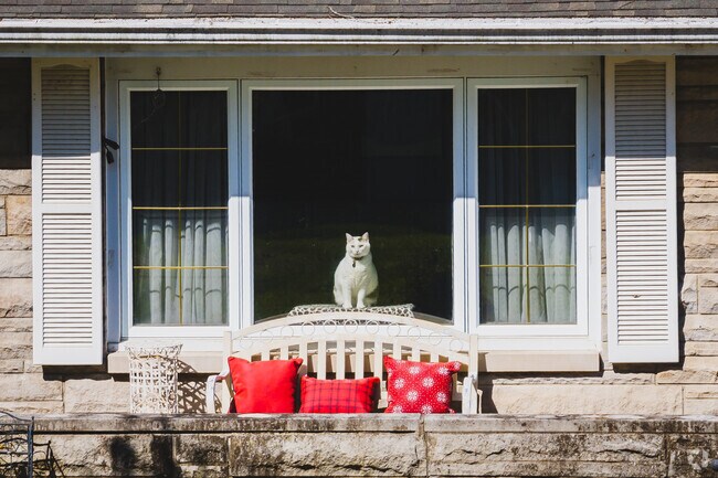 This Northview cat soaks up the morning sun.