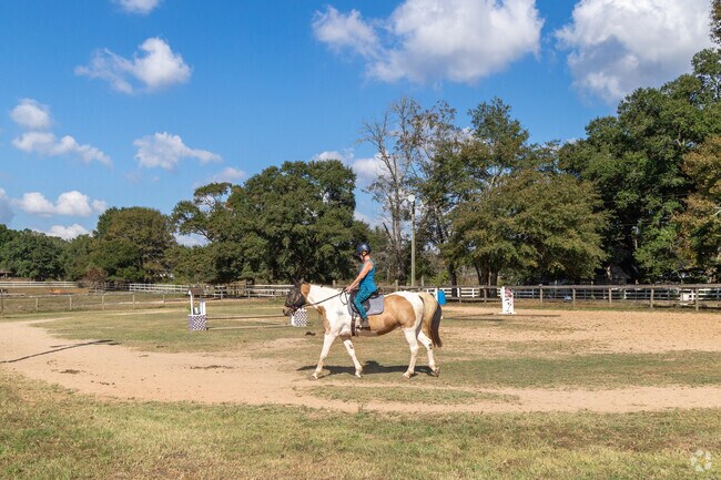 Cypress Branch residents breathe in the beauty of rural life at Amazing Gaits Equestrian Center.