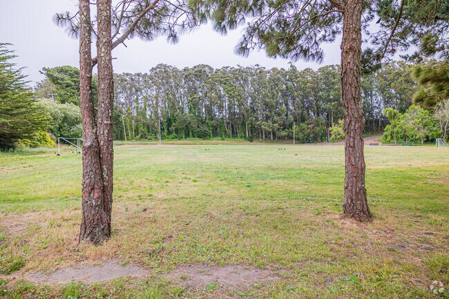 Monte Verde is one of the large parks in San Bruno