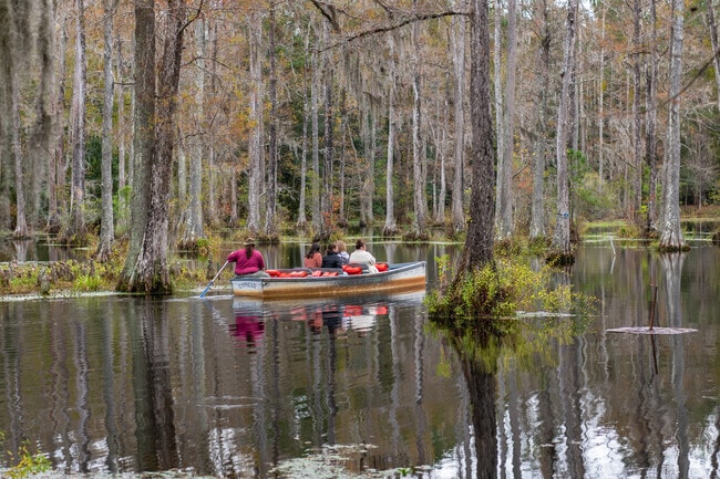 Explore Cypress Gardens stunning swamp garden on a fun boat tour with family in Moncks Corner.
