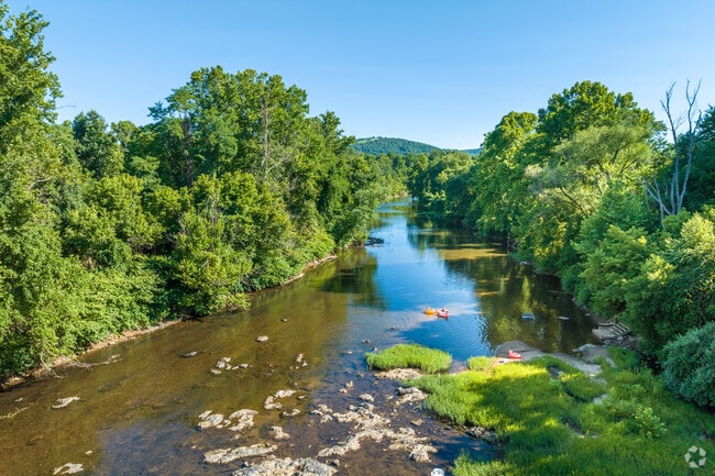 Cool off while floating down the Rivanna River in Locust Grove.