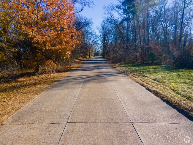 The long drive on the Colonial Parkway offers scenic views of the seasonal greenery.
