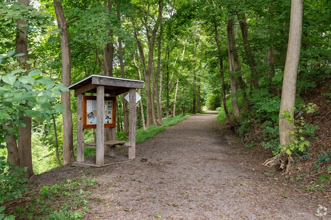 Take a hike along the Back Mountain Trail in Shavertown and enjoy a day in nature.