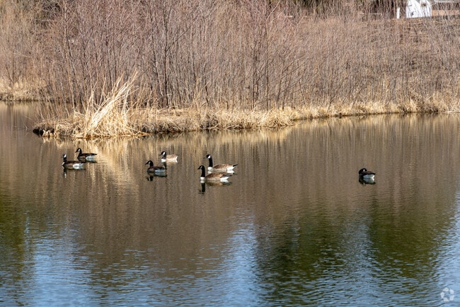 Somerset Village is beautiful, peaceful living in an active college town.