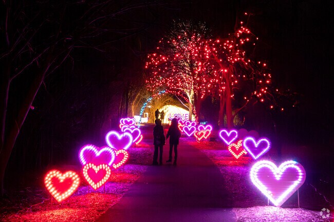 A couple strolls the 1/2 mile trail of Oak Brooks' Winter Lights at Central Park event.