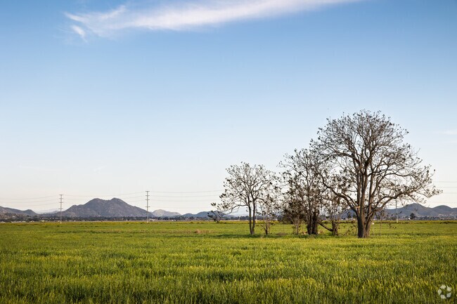 Explore the vast open fields of Central Perris.