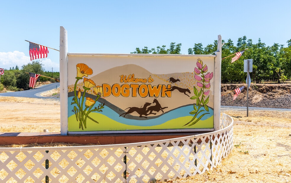 NH_1028311_Dogtown_JB_073125_FINAL