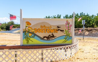 Dogtown