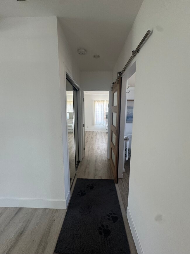 hallway to second room in the back of the unit and bathroom on the right with close on the left