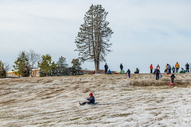 West Springfield's snowy slopes bring families together for an exciting sledding day.