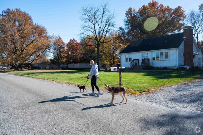 A lady walks her two dogs in a lovely neighborhood in the Holiday Shores area.