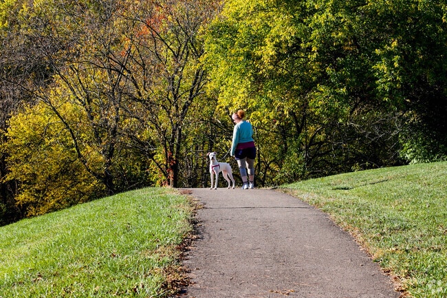 A resident walks their dog at Pride Park, a popular green space near Highland Heights.