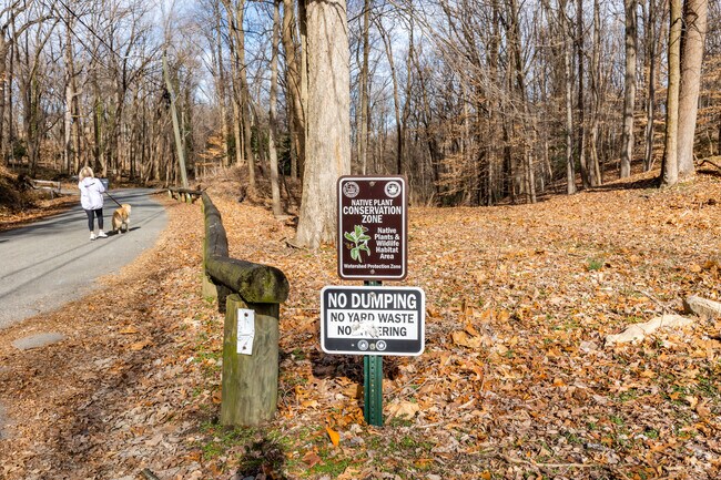 Rynex Nature Area is a wooded area with trails for Alexandria West locals to traverse.