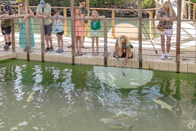 Learn about the creatures of the sea at Aquarium Encounters in Marathon, FL.