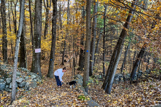 Twin Bridge Park, located in the Merrimack neighborhood, offers hiking trails.